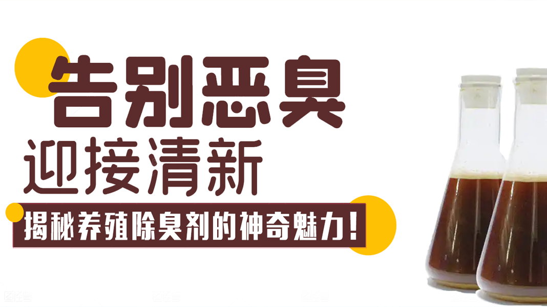 告別惡臭，迎接清新：揭秘養(yǎng)殖除臭劑的神奇魅力！