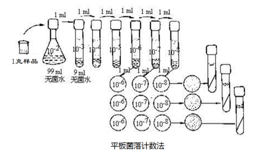 平板計數(shù)法