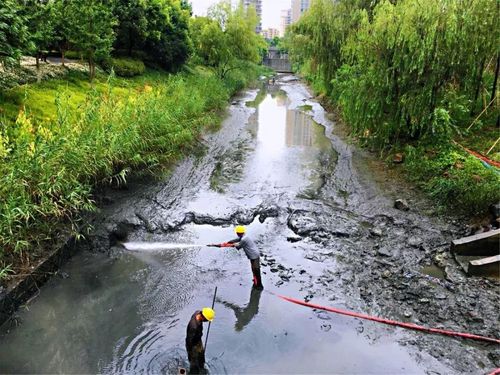 為什么微生物除臭劑可以直接加到水里？不會污染水嗎？