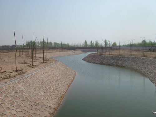 微生物除臭劑：解決河道水體污染的綠色利器