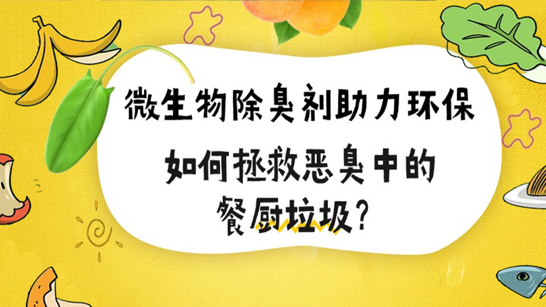 微生物除臭劑助力環(huán)保，如何拯救惡臭中的餐廚垃圾？