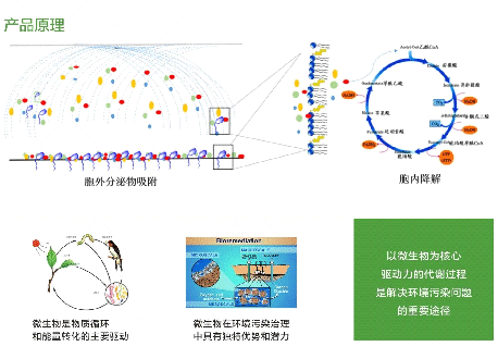 生物除臭劑原理